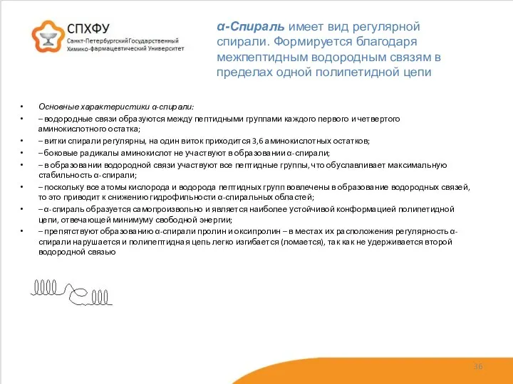 Основные характеристики α-спирали: – водородные связи образуются между пептидными группами