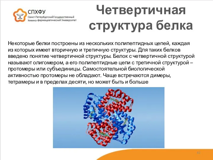 Четвертичная структура белка Некоторые белки построены из нескольких полипептидных цепей,