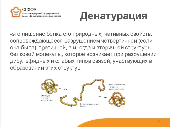 Денатурация -это лишение белка его природных, нативных свойств, сопровождающееся разрушением