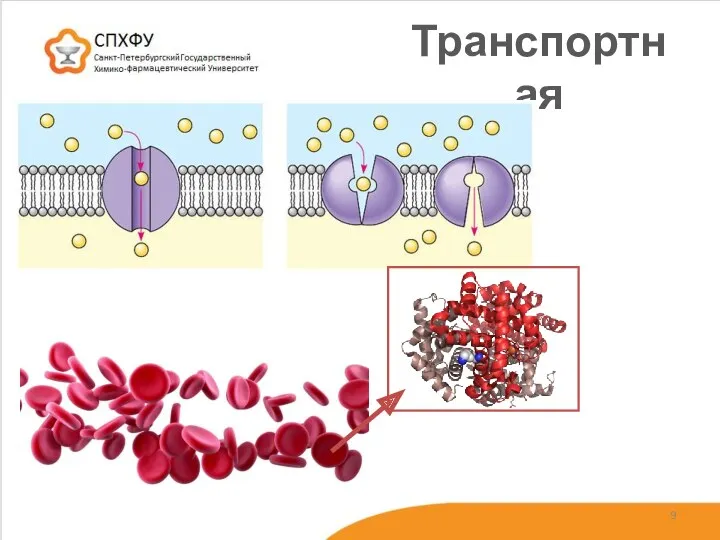 Транспортная