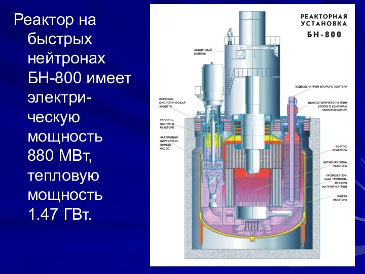 Реактор на быстрых нейтронах БН-800 имеет электри-ческую мощность 880 МВт, тепловую мощность 1.47 ГВт.