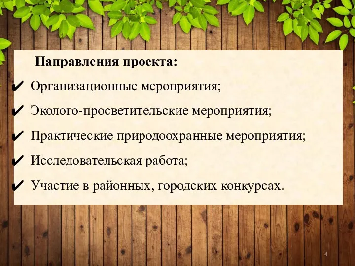 Направления проекта: Организационные мероприятия; Эколого-просветительские мероприятия; Практические природоохранные мероприятия; Исследовательская работа; Участие в районных, городских конкурсах.