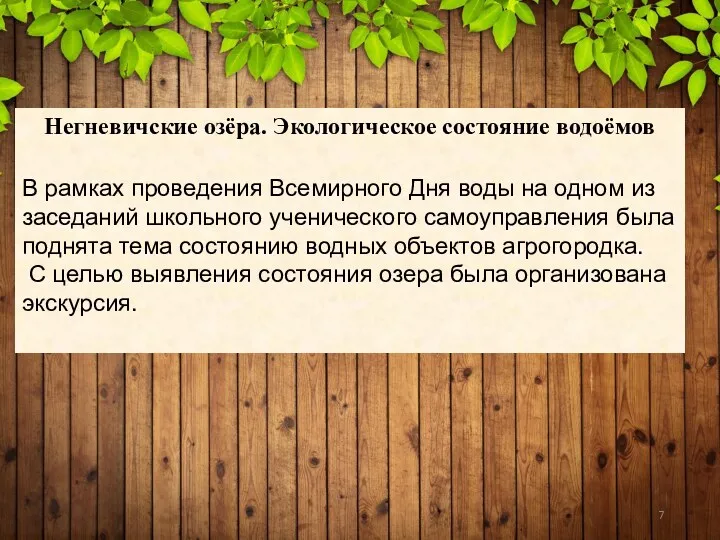 Негневичские озёра. Экологическое состояние водоёмов В рамках проведения Всемирного Дня воды на одном