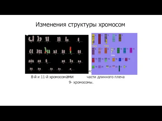 Изменения структуры хромосом Рис. 1. Транслокации между Рис. 2. Делеция