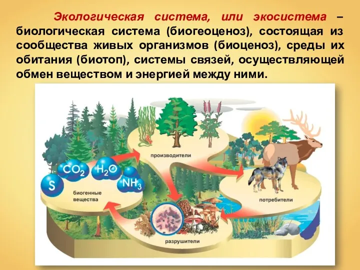 Экологическая система, или экосистема – биологическая система (биогеоценоз), состоящая из