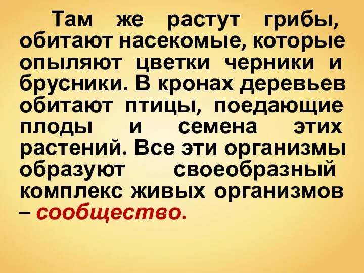 Там же растут грибы, обитают насекомые, которые опыляют цветки черники