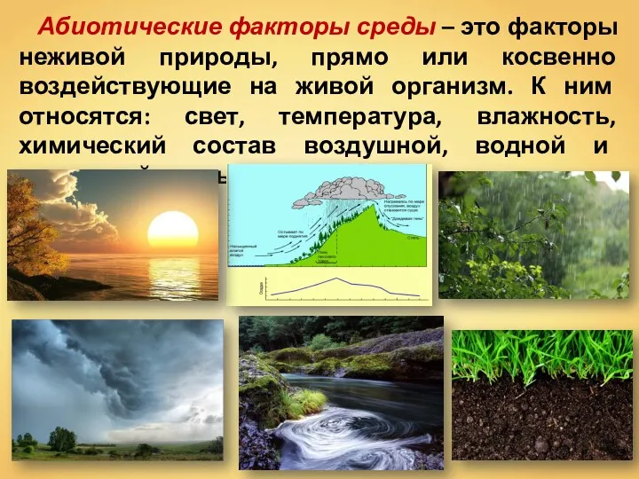 Абиотические факторы среды – это факторы неживой природы, прямо или