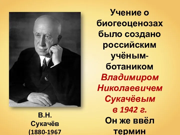 Учение о биогеоценозах было создано российским учёным-ботаником Владимиром Николаевичем Сукачёвым