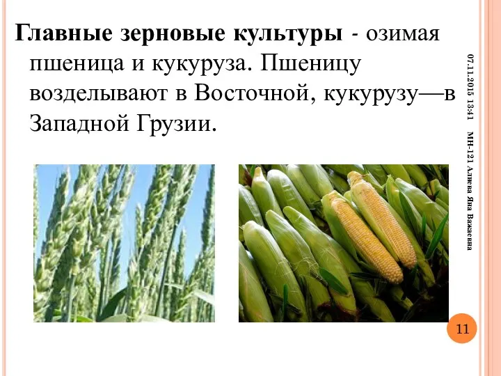 Главные зерновые культуры - озимая пшеница и кукуруза. Пшеницу возделывают в Восточной, кукурузу—в