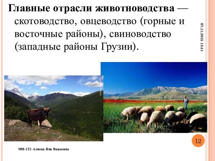 Главные отрасли животноводства — скотоводство, овцеводство (горные и восточные районы),