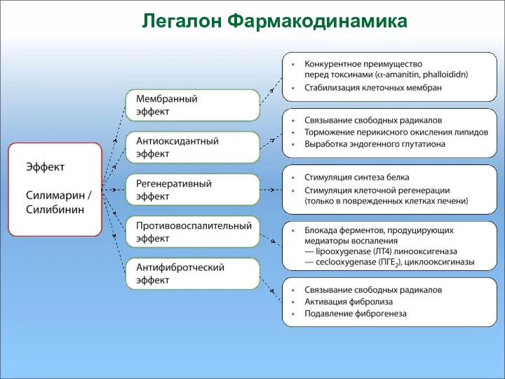 Легалон Фармакодинамика