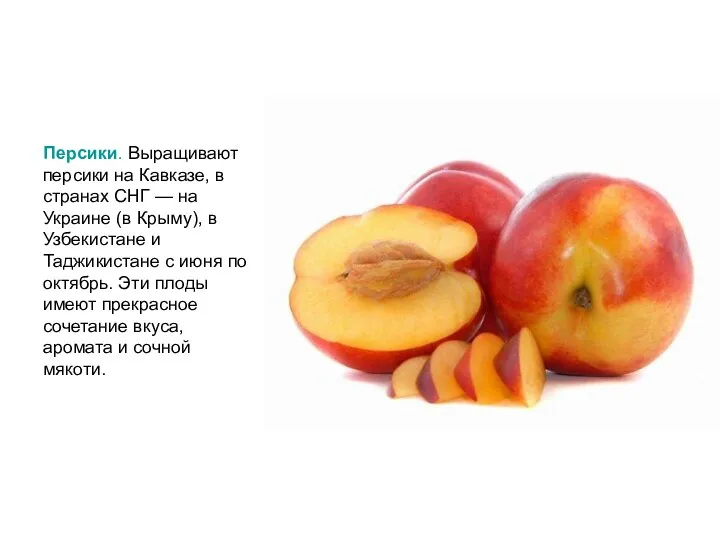 Персики. Выращивают персики на Кавказе, в странах СНГ — на Украине (в Крыму),