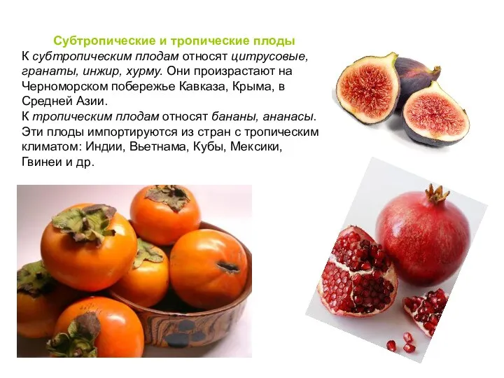 Субтропические и тропические плоды К субтропическим плодам относят цитрусовые, гранаты, инжир, хурму. Они