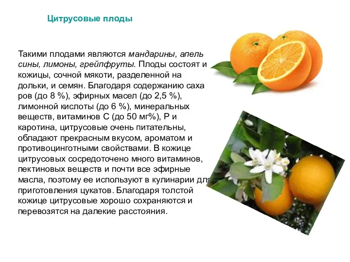 Такими плодами являются мандарины, апель­сины, лимоны, грейпфруты. Плоды состоят из кожицы, сочной мя­коти,