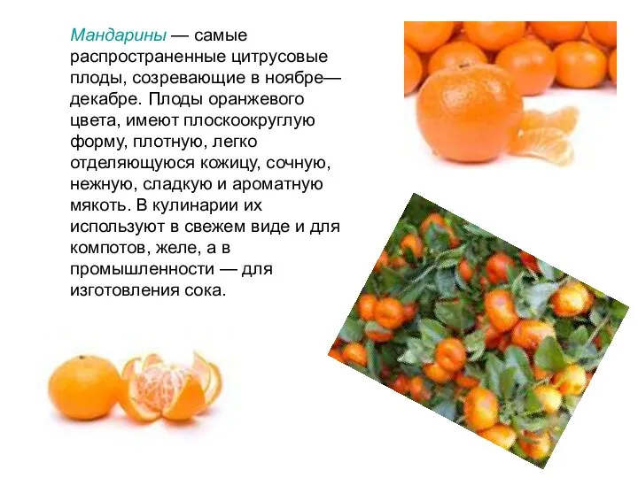 Мандарины — самые распространенные цитрусовые плоды, со­зревающие в ноябре—декабре. Плоды оранжевого цвета, имеют