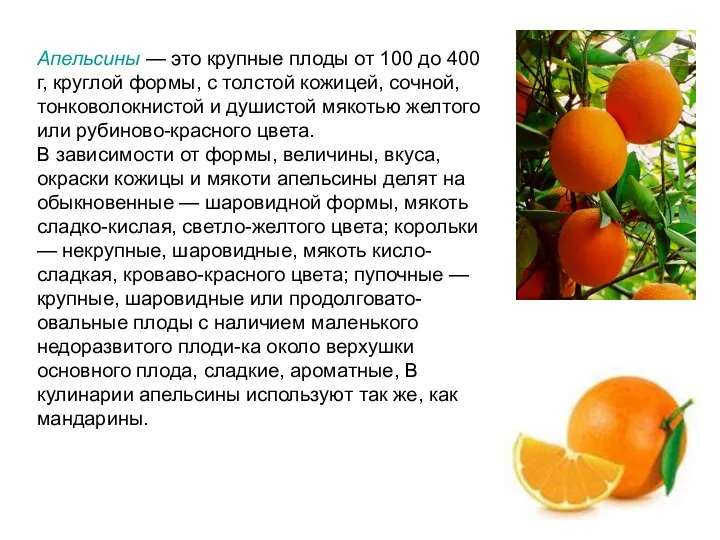 Апельсины — это крупные плоды от 100 до 400 г, круглой формы, с