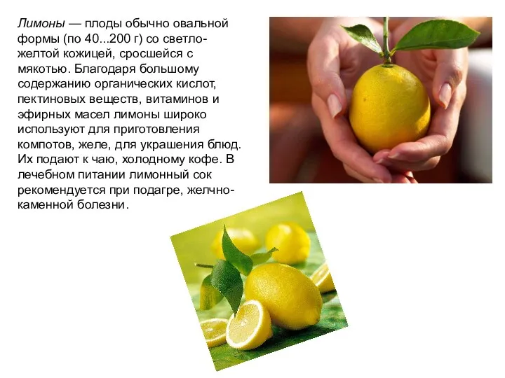 Лимоны — плоды обычно овальной формы (по 40...200 г) со светло-желтой кожицей, сросшейся