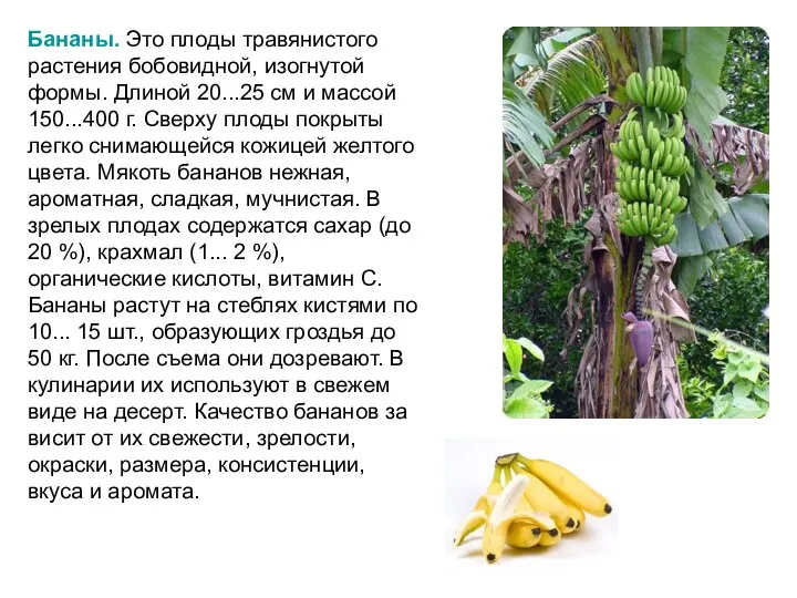 Бананы. Это плоды травянистого растения бобовидной, изогнутой формы. Длиной 20...25 см и массой