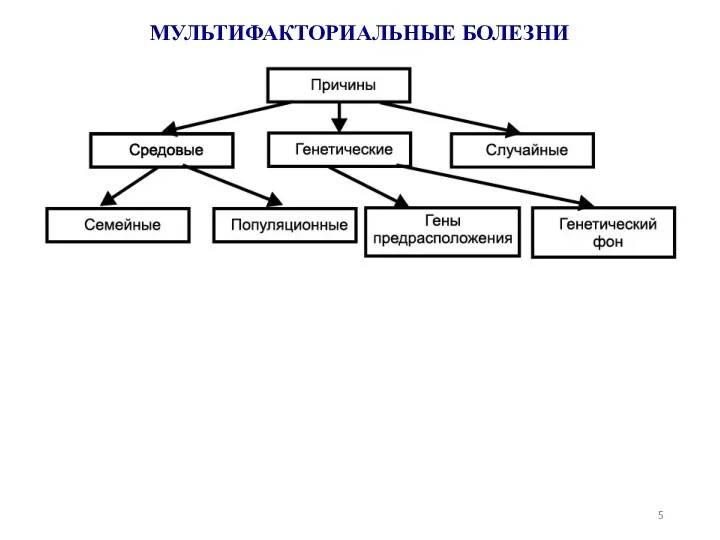 МУЛЬТИФАКТОРИАЛЬНЫЕ БОЛЕЗНИ