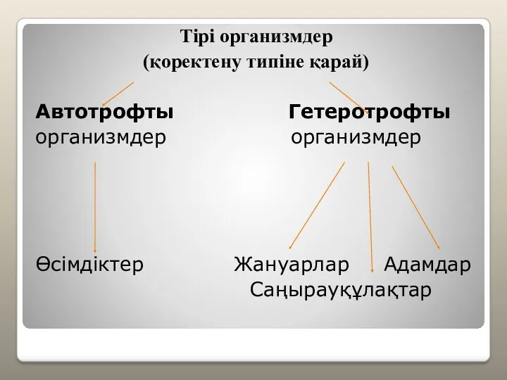 Тірі организмдер (қоректену типіне қарай) Автотрофты Гетеротрофты организмдер организмдер Өсімдіктер Жануарлар Адамдар Саңырауқұлақтар