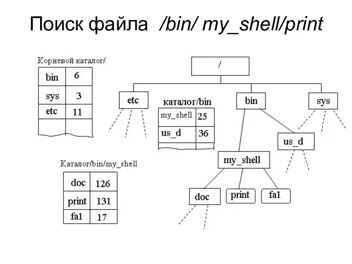 Поиск файла /bin/ my_shell/print