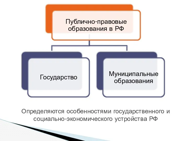 Определяются особенностями государственного и социально-экономического устройства РФ
