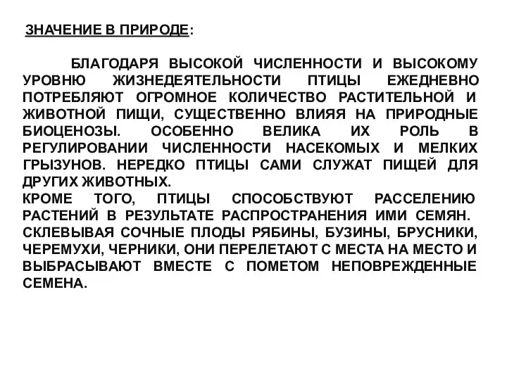 ЗНАЧЕНИЕ В ПРИРОДЕ: БЛАГОДАРЯ ВЫСОКОЙ ЧИСЛЕННОСТИ И ВЫСОКОМУ УРОВНЮ ЖИЗНЕДЕЯТЕЛЬНОСТИ