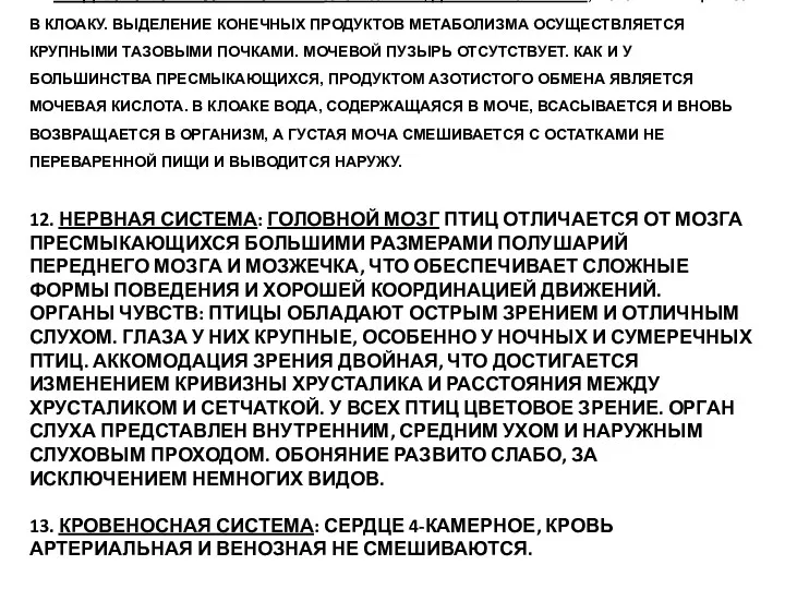 11. ВЫДЕЛИТЕЛЬНАЯ СИСТЕМА: ПАРА ПОЧЕК, ДВА МОЧЕТОЧНИКА, ОТКРЫВАЮЩИХСЯ В КЛОАКУ.