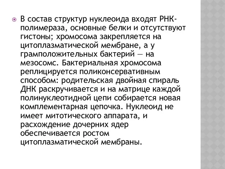 В состав структур нуклеоида входят РНК-полимераза, основные белки и отсутствуют