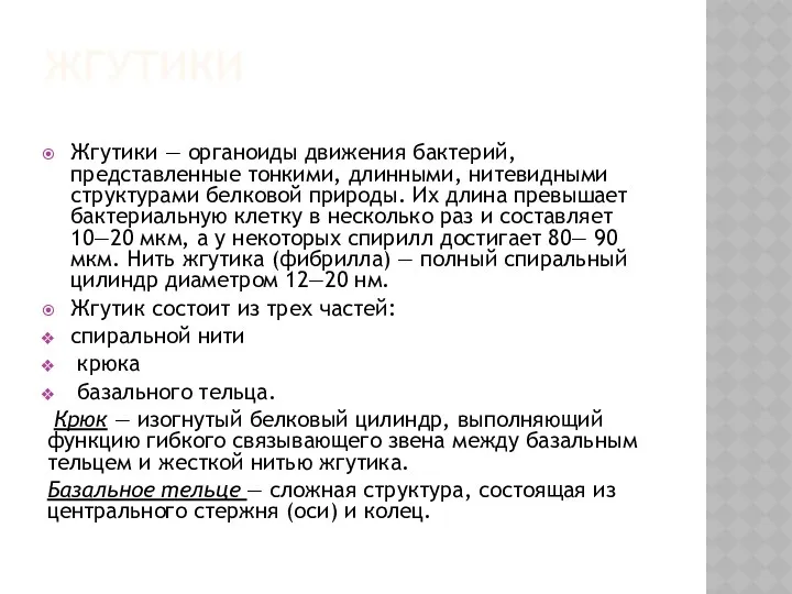 ЖГУТИКИ Жгутики — органоиды движения бактерий, представленные тонкими, длинными, нитевидными