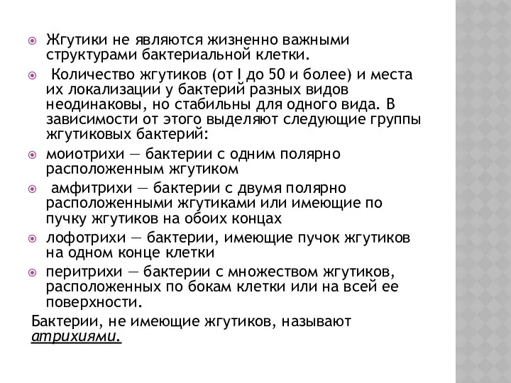 Жгутики не являются жизненно важными структурами бактериальной клетки. Количество жгутиков