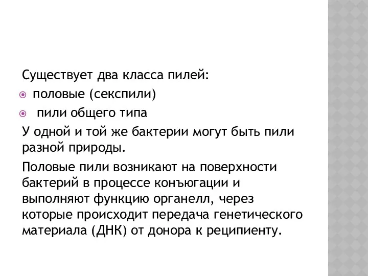 Существует два класса пилей: половые (секспили) пили общего типа У