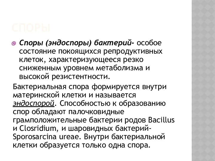 СПОРЫ Споры (эндоспоры) бактерий- особое состояние покоящихся репродуктивных клеток, характеризующееся