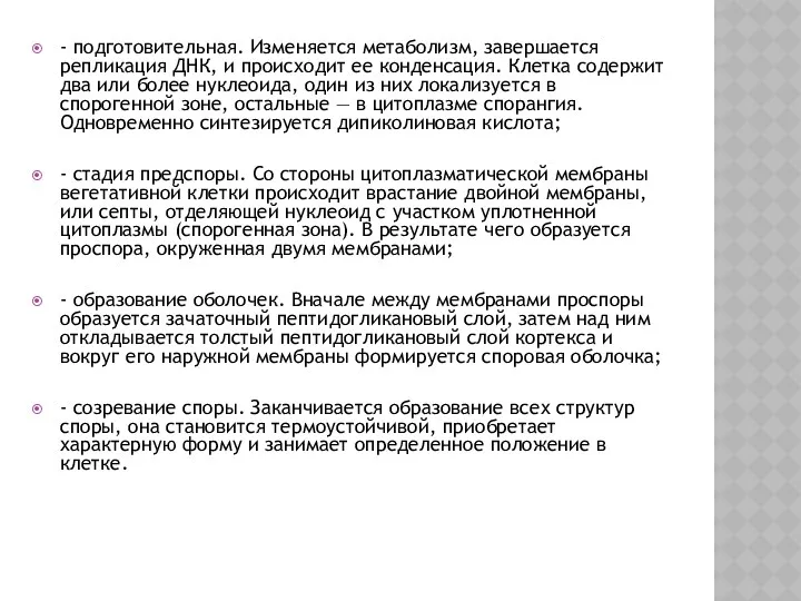 - подготовительная. Изменяется метаболизм, завершается репликация ДНК, и происходит ее