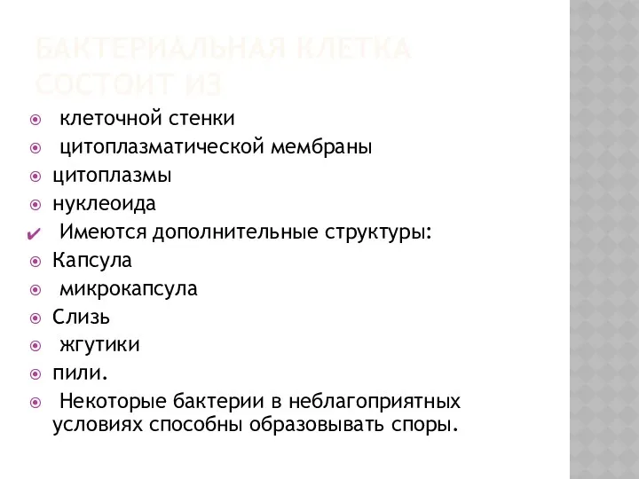 БАКТЕРИАЛЬНАЯ КЛЕТКА СОСТОИТ ИЗ клеточной стенки цитоплазматической мембраны цитоплазмы нуклеоида