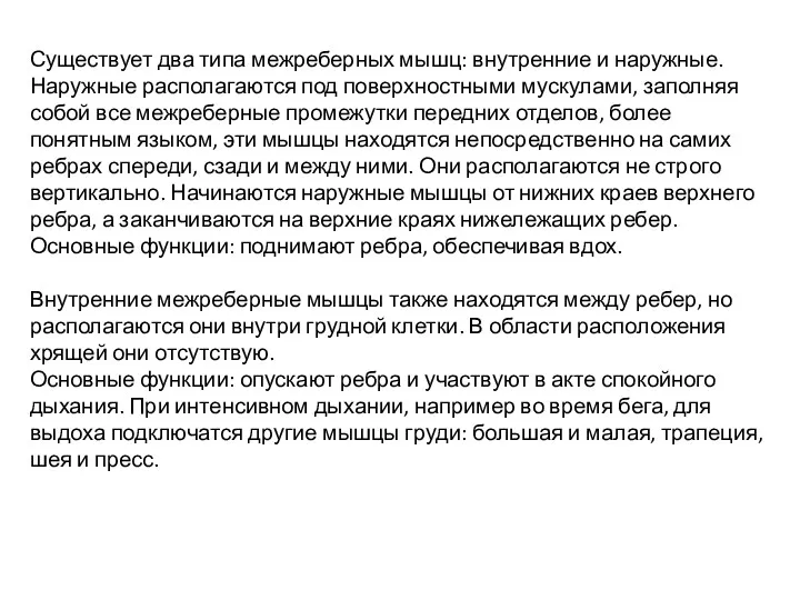 Существует два типа межреберных мышц: внутренние и наружные. Наружные располагаются под поверхностными мускулами,