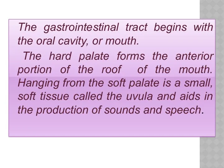 The gastrointestinal tract begins with the oral cavity, or mouth.