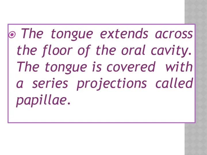 The tongue extends across the floor of the oral cavity.