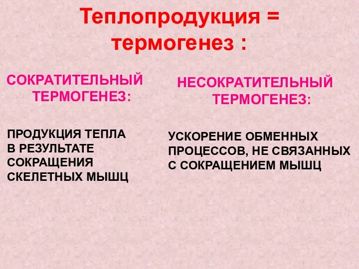 Теплопродукция = термогенез : СОКРАТИТЕЛЬНЫЙ ТЕРМОГЕНЕЗ: ПРОДУКЦИЯ ТЕПЛА В РЕЗУЛЬТАТЕ