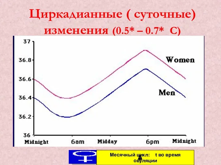 Циркадианные ( суточные) изменения (0.5* – 0.7* С) Месячный цикл: t во время овуляции