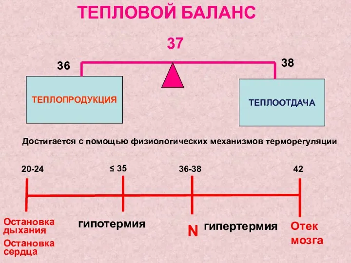 ТЕПЛОВОЙ БАЛАНС ТЕПЛОПРОДУКЦИЯ ТЕПЛООТДАЧА 36 37 38 Достигается с помощью