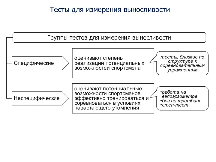 Тесты для измерения выносливости Группы тестов для измерения выносливости Специфические