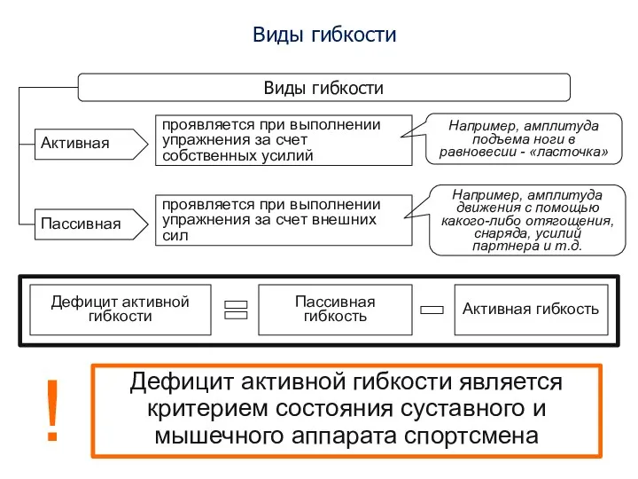 Виды гибкости Виды гибкости Активная проявляется при выполнении упражнения за