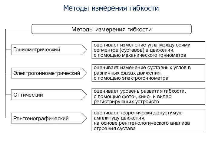 Методы измерения гибкости Методы измерения гибкости Гониометрический оценивает изменение угла