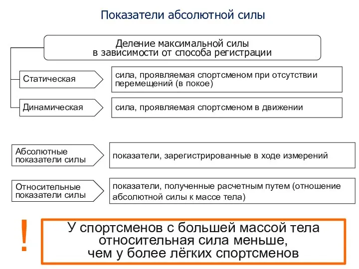 У спортсменов с большей массой тела относительная сила меньше, чем