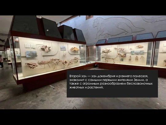 Второй зал — зал докембрия и раннего палеозоя, знакомит с самыми первыми жителями