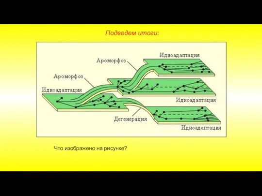 Подведем итоги: Что изображено на рисунке?