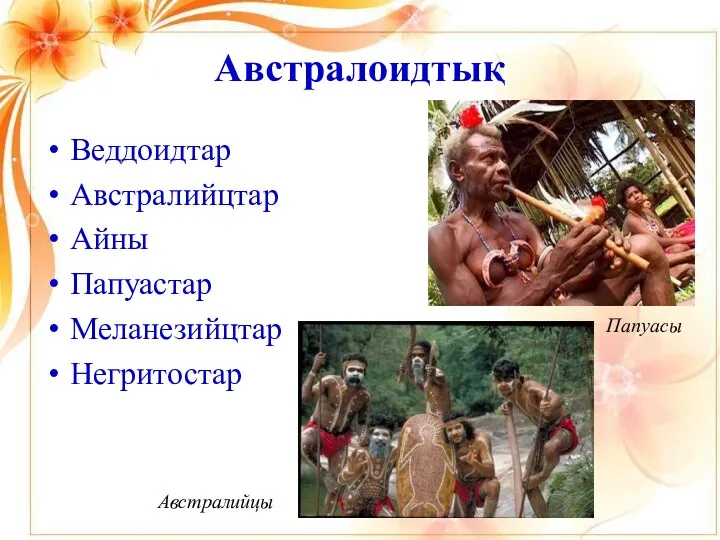 Австралоидтық Веддоидтар Австралийцтар Айны Папуастар Меланезийцтар Негритостар Папуасы Австралийцы