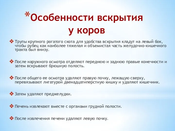 Особенности вскрытия у коров Трупы крупного рогатого скота для удобства