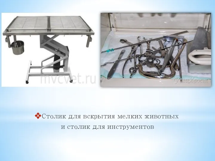 Столик для вскрытия мелких животных и столик для инструментов